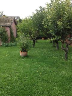 Les portes du vignoble - Nuits-Saint-Georges - 2