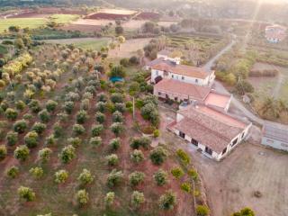 Feudo di Villa Anticaglia - Briatico - 7