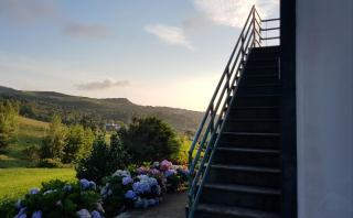 Quinta do Calvário - Lajes das Flores - 6