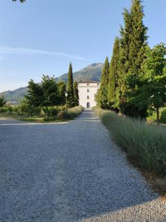Casa Guelfucci - Corte - 8
