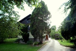 Apartment Arh - Bled - 8