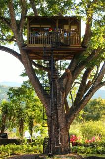 Casa en el Arbol - Utica - 9