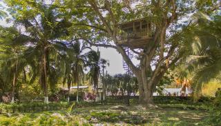 Casa en el Arbol - Utica - 6