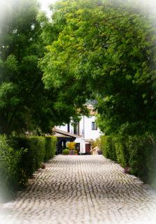 Cortijo Salinas - 8