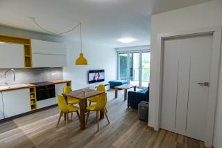 Apartamenty Amira w kompleksie Apartamenty Piano - Świeradów-Zdrój - 1