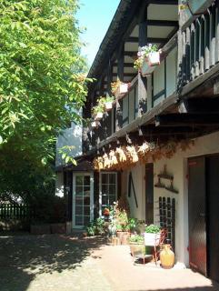 Hotel garni & Oma's Heuhotel 'Pension zur Galerie' - Barby - 0