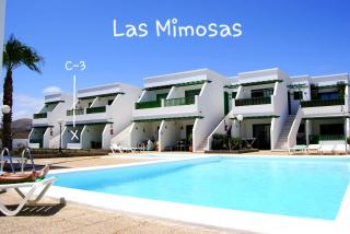 Magmamia - Puerto del Carmen - 8