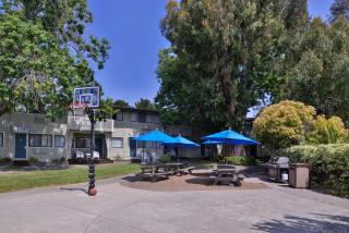Best Western Corte Madera Inn - Corte Madera - 7