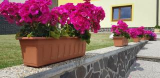 Apartman Zatura - Vyšná Šuňava - 5