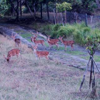 Kenting Coral Sea Resort Hotel - 4