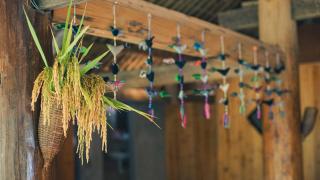 Joy House Sapa - Sapa - 1