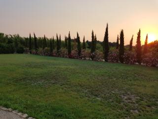 Le Mas de Guiguite - Mézoargues - 1