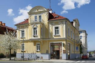 Homely Apartments Villa Christiana - Marienbad - 9
