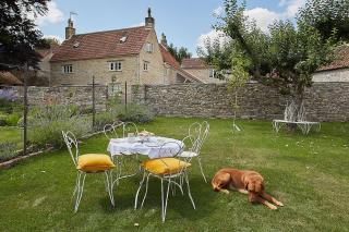 Cherry tree farm B and B - Frome - 8