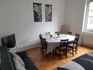 STRASBOURG CENTRE le 85, Superbe F5, 125m2, 5 Pièces - Straatsburg - 7