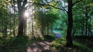 NatureZenKota - Mittlach - 8