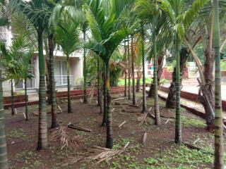 Luxurious AC apartment in Tamhini ghat, Devkund & Kolad rafting - Māngaon - 4