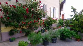 Maja Zevnik garden home - Bovec - 7
