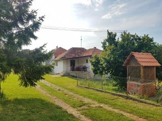 Green Apartments - Kuršumlija - 8