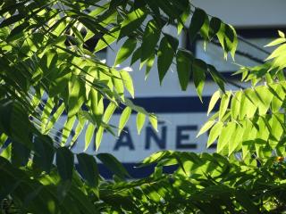 Castro Urdiales - LA VIEJA ESTACIÓN - Cerca de Bilbao - 2