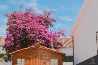 Casa das Laranjeiras - Alfarim - 5
