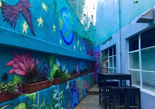 Trek Global Backpackers - Wellington - 9