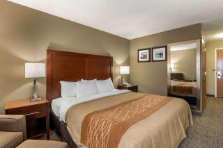 Comfort Inn Walcott near Davenport - Walcott - 4