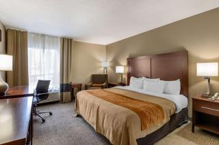 Comfort Inn Walcott near Davenport - Walcott - 5