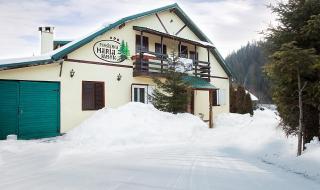 Vila Maria Rustic Predeal - Predeal - 8