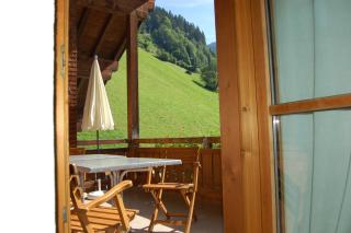 Appartements Karin Mitten im Grünen - Schoppernau - 8