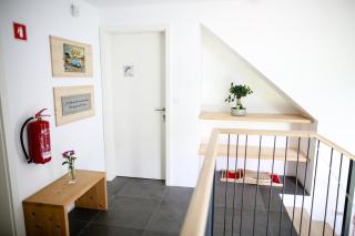 eco boutique hotel AMS Beagle - 8