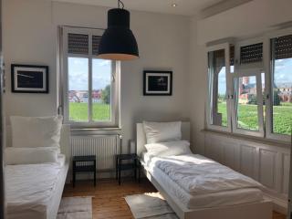 Luxe Apartment am Rhein - Worms - 0