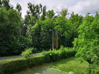 Willa Pory Roku - Łódź - 8