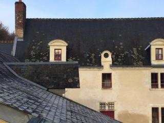 Manoir - Gîte avec Spa pour 10 p. - Langeais - 8