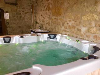 Manoir - Gîte avec Spa pour 10 p. - Langeais - 7