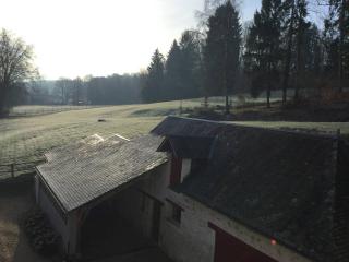 Manoir - Gîte avec Spa pour 10 p. - Langeais - 6