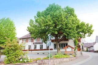Hotel Gasthof Engel - Appenweier - 8