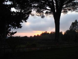 Ai Cipressi - Salemi - 6