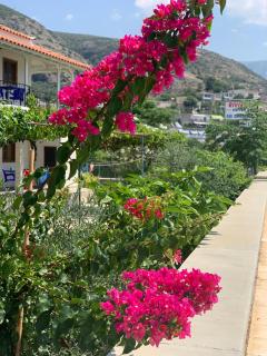 Hotel Riviera - Qeparo - 1
