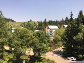 apartament Durau - Durau - 8