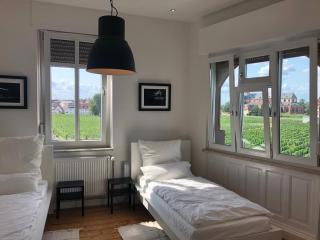Luxe Apartment am Rhein - Worms - 8