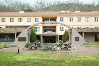 Hotel Balneario Valle del Jerte - Valdastillas - 8