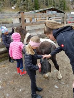 Alpin Appart Reiterhof - Niederthai - 1