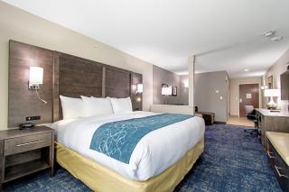 Comfort Suites Humble Houston IAH - Humble - 9