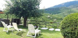 La Casa Vecchia - Valdobbiadene - 6