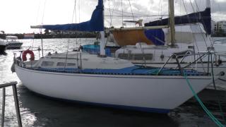 Velero Freja - 0