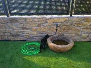 Casa rural El Gato Negro - 5