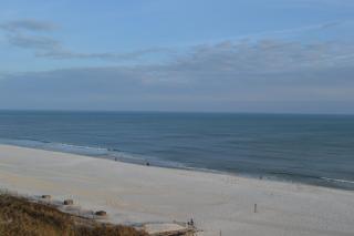 Sunswept 807 Condo - Orange Beach - 7