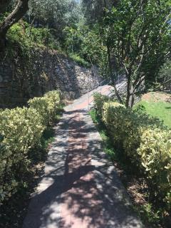 Villa Olivari - apt la Lavanda - Camogli - 2