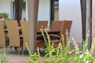 Apartments Petra - 6